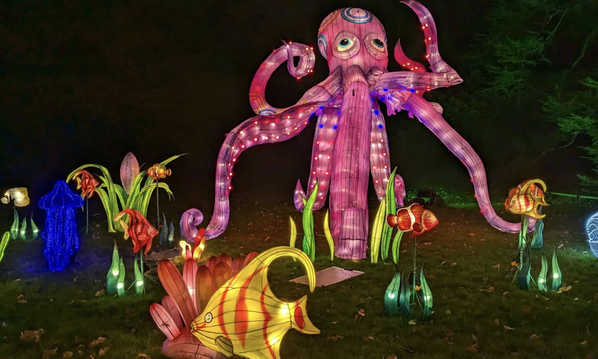 Que faire à Nantes ce week-end