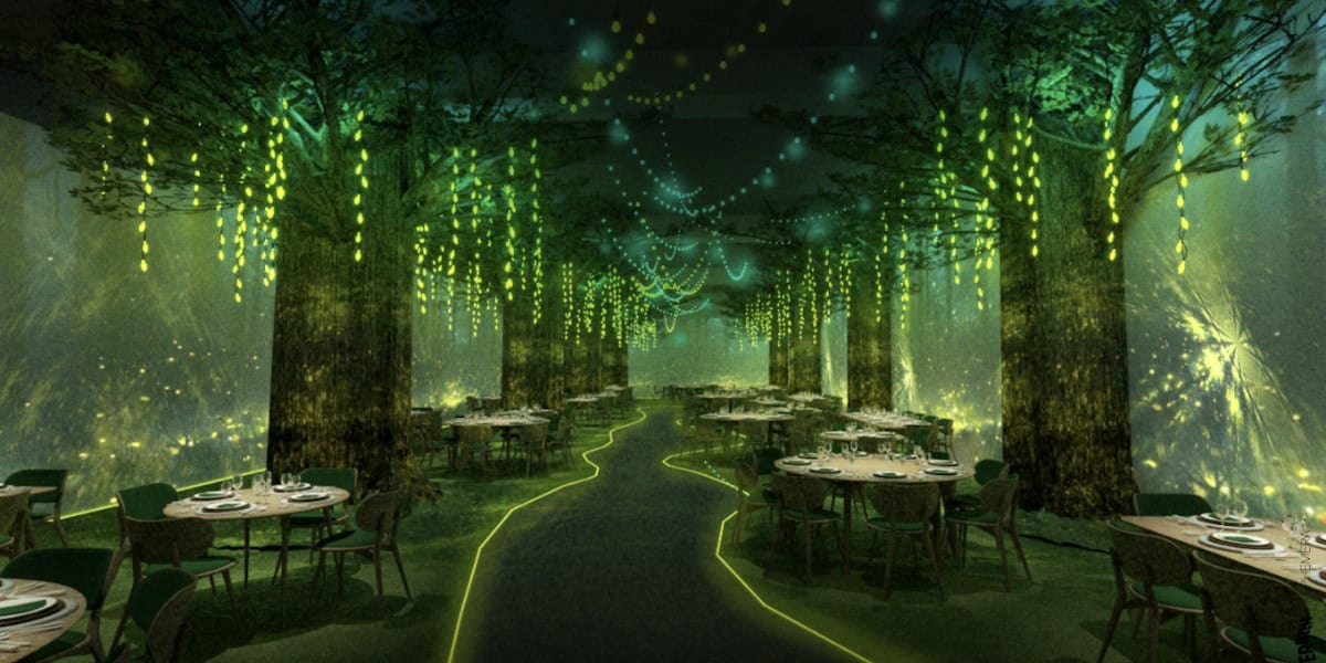 Wonderwoods, restaurant immersif à Angers