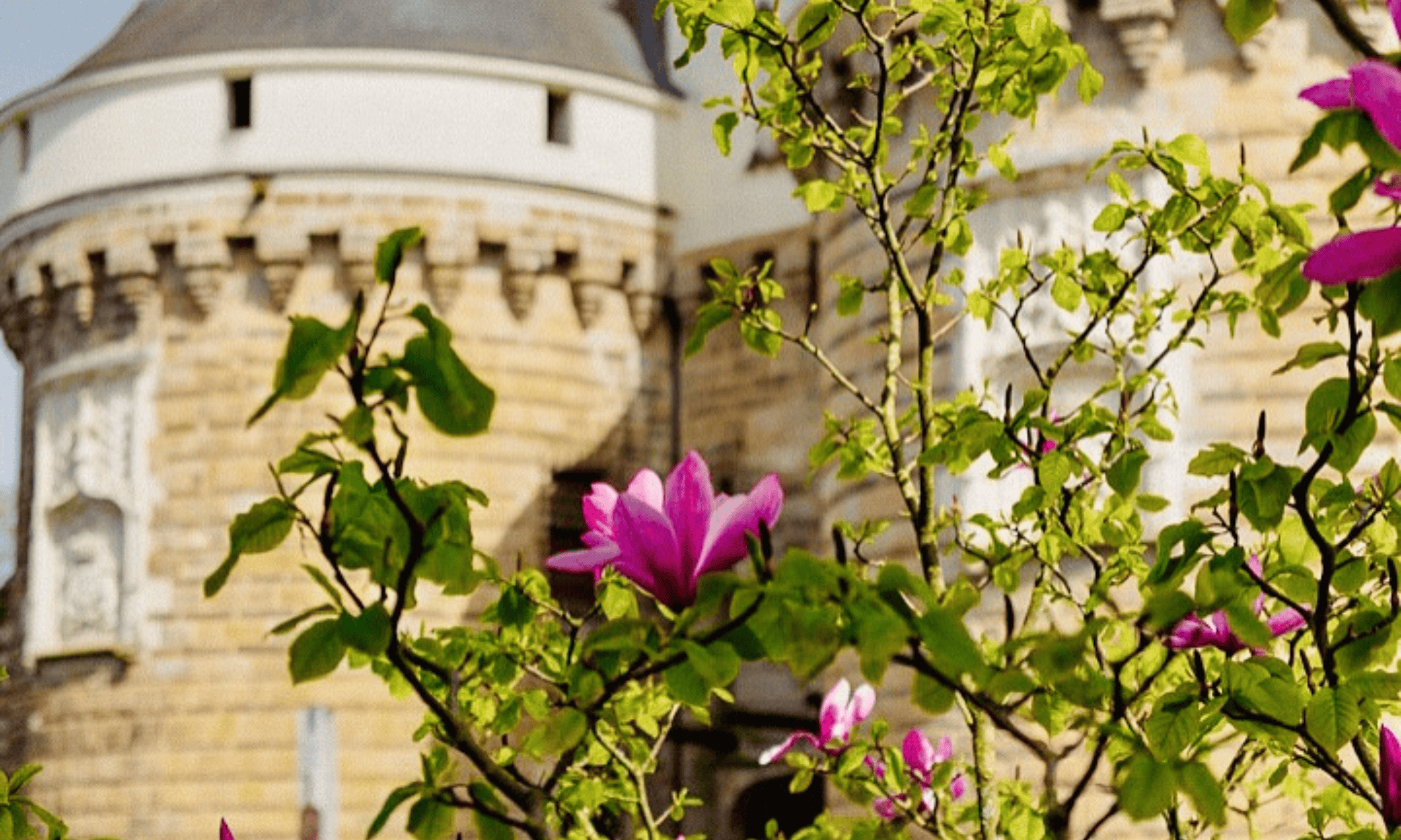 Que faire a Nantes ce week-end du 17 au 20 avril 2025 ©mili.photography